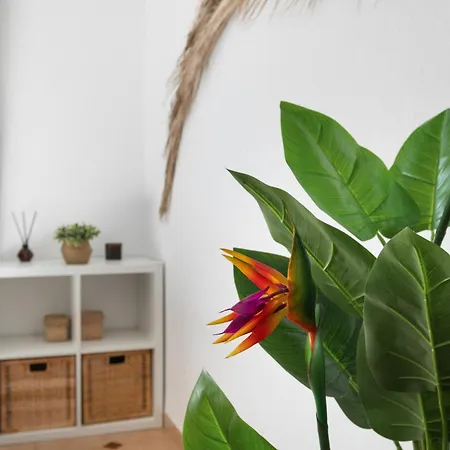 Casa Camacho Apartment